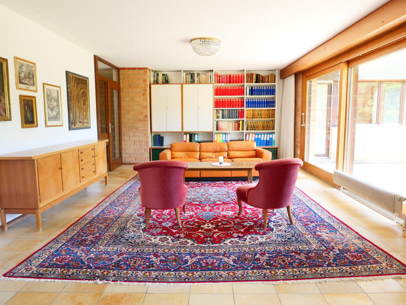 Casa unifamiliare o 2 generazioni architettonicamente elegante e molto spaziosa ... (8)
