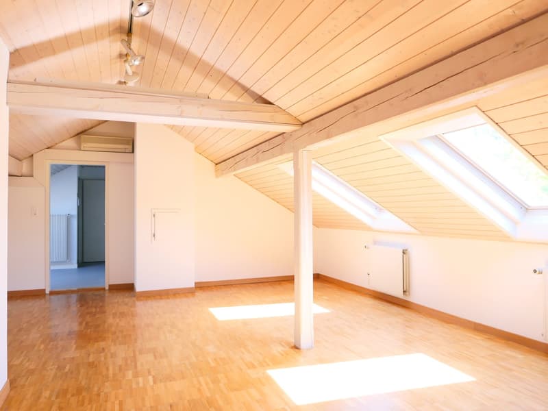 Casa unifamiliare o 2 generazioni architettonicamente elegante e molto spaziosa ... (24)