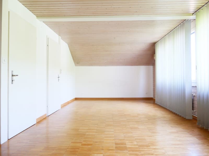 Casa unifamiliare o 2 generazioni architettonicamente elegante e molto spaziosa ... (25)