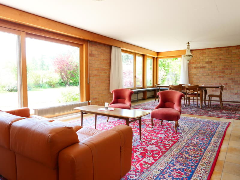 Casa unifamiliare o 2 generazioni architettonicamente elegante e molto spaziosa ... (9)