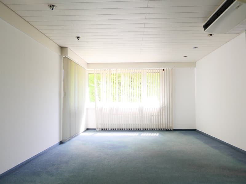 Casa unifamiliare o 2 generazioni architettonicamente elegante e molto spaziosa ... (21)
