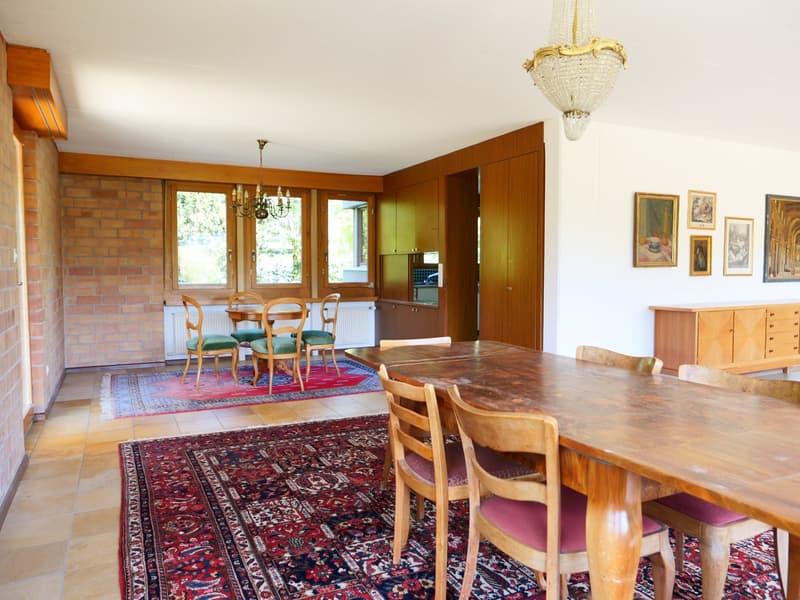 Casa unifamiliare o 2 generazioni architettonicamente elegante e molto spaziosa ... (12)