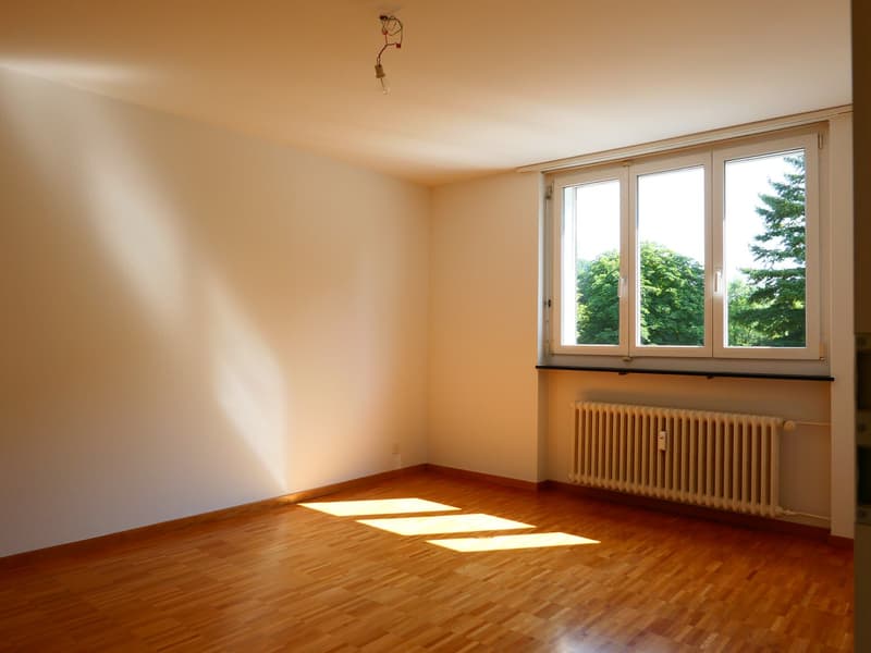 Grosszügige, flexibel unterteilbare 4.5-Zi'Wohnung mit zwei geräumigen Terrassen ... (16)