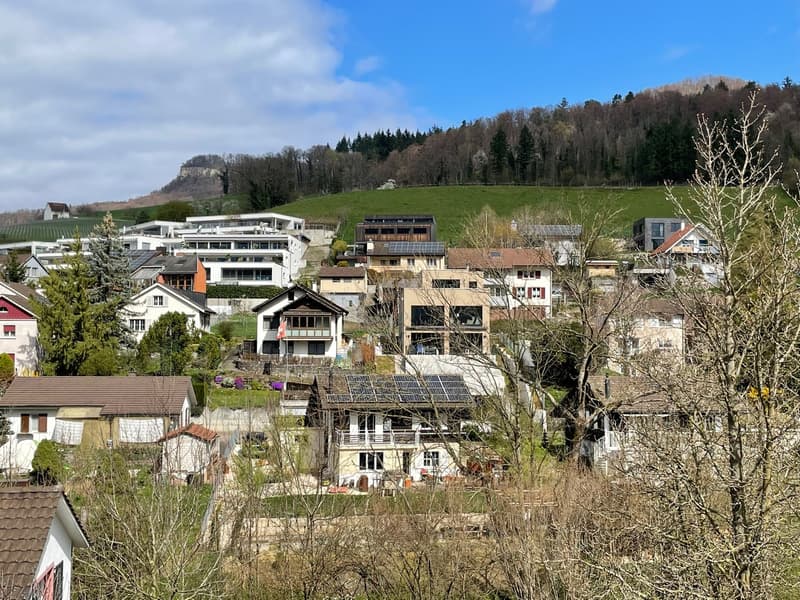 Grosszügige, flexibel unterteilbare 4.5-Zi'Wohnung mit zwei geräumigen Terrassen ... (21)
