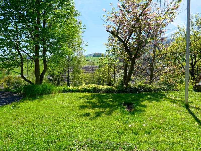 Gepflegtes, freistehendes 7 1/2-Zi'Einfamilienhaus mit grosszügigem Umschwung ... RESERVIERT ! (15)