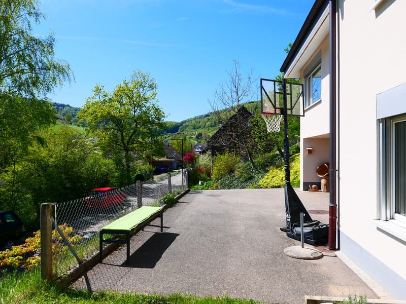 Gepflegtes, freistehendes 7 1/2-Zi'Einfamilienhaus mit grosszügigem Umschwung ... RESERVIERT ! (20)