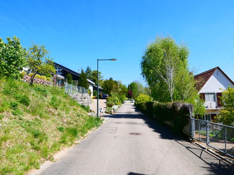 Gepflegtes, freistehendes 7 1/2-Zi'Einfamilienhaus mit grosszügigem Umschwung ... RESERVIERT ! (25)