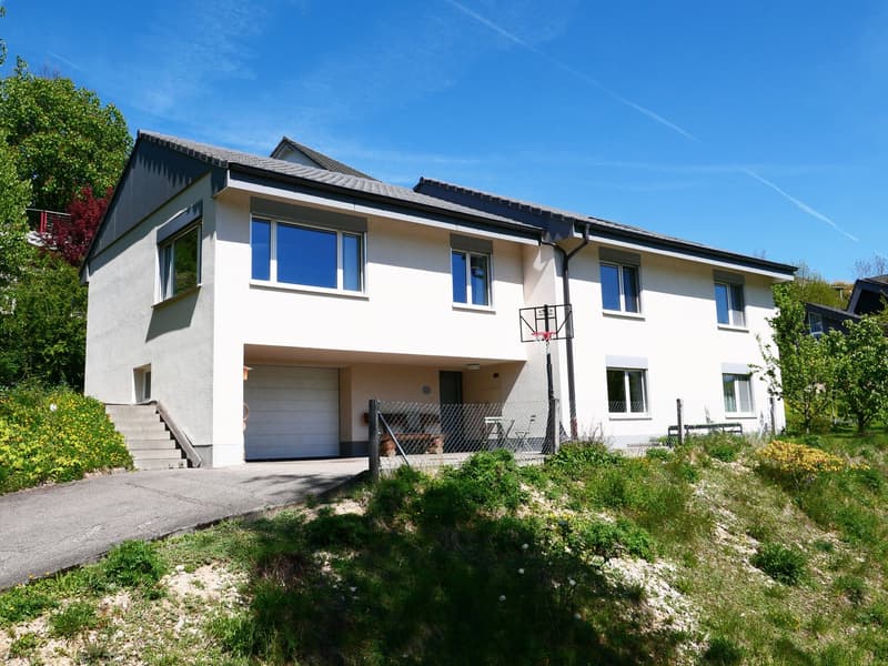 Gepflegtes, freistehendes 7 1/2-Zi'Einfamilienhaus mit grosszügigem Umschwung ... RESERVIERT ! (1)