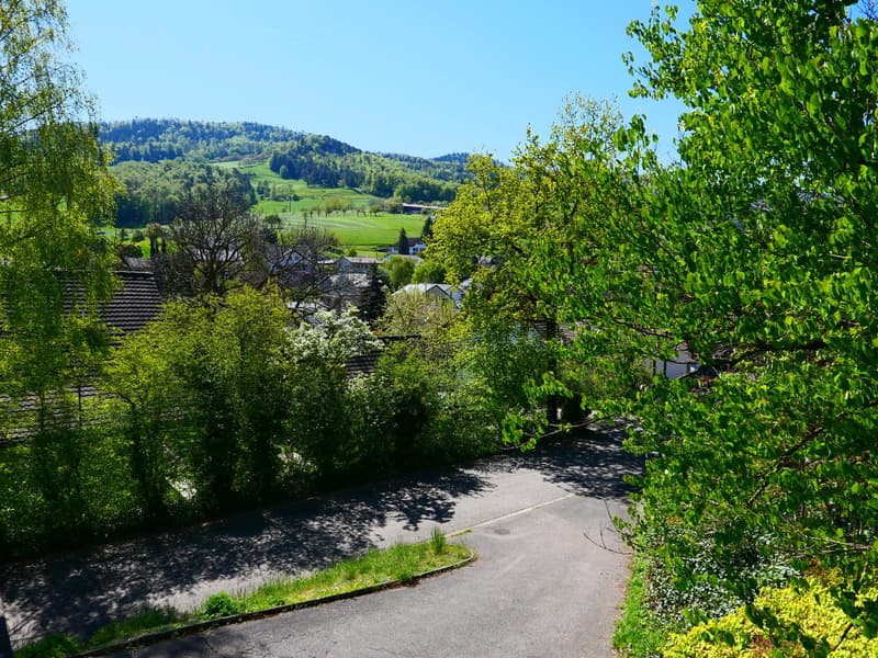 Gepflegtes, freistehendes 7 1/2-Zi'Einfamilienhaus mit grosszügigem Umschwung ... RESERVIERT ! (24)