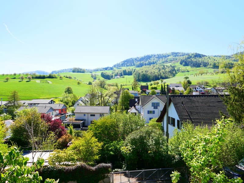 Gepflegtes, freistehendes 7 1/2-Zi'Einfamilienhaus mit grosszügigem Umschwung ... RESERVIERT ! (23)
