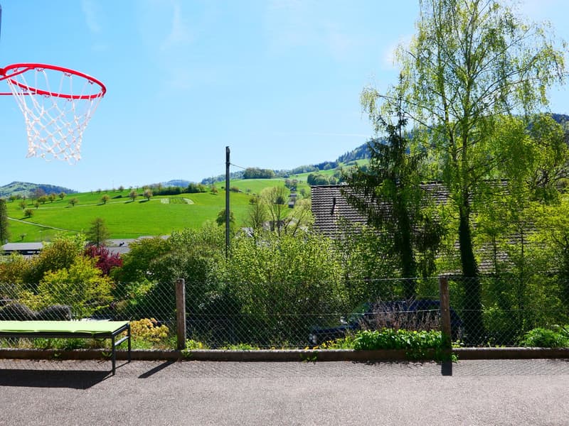 Gepflegtes, freistehendes 7 1/2-Zi'Einfamilienhaus mit grosszügigem Umschwung ... RESERVIERT ! (19)