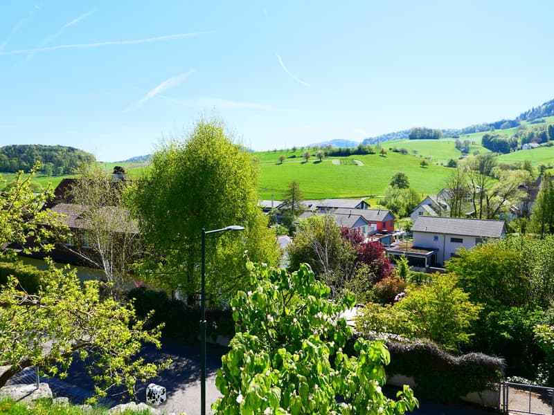 Gepflegtes, freistehendes 7 1/2-Zi'Einfamilienhaus mit grosszügigem Umschwung ... RESERVIERT ! (22)