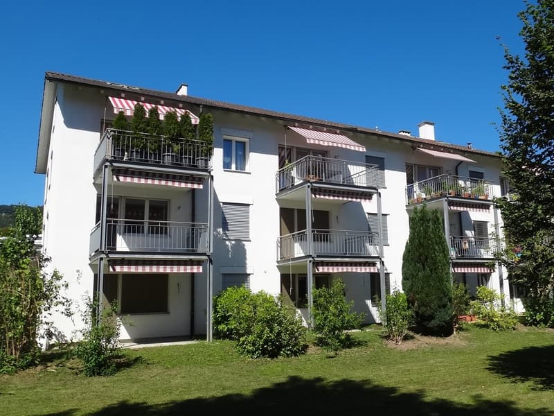 Schöne 2-Zimmerwohnung mit grosser Terrasse Nähe Dorfzentrum und Bahnhof ... (1)