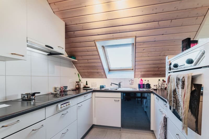 APARTMENT WITH GALLERY (2)