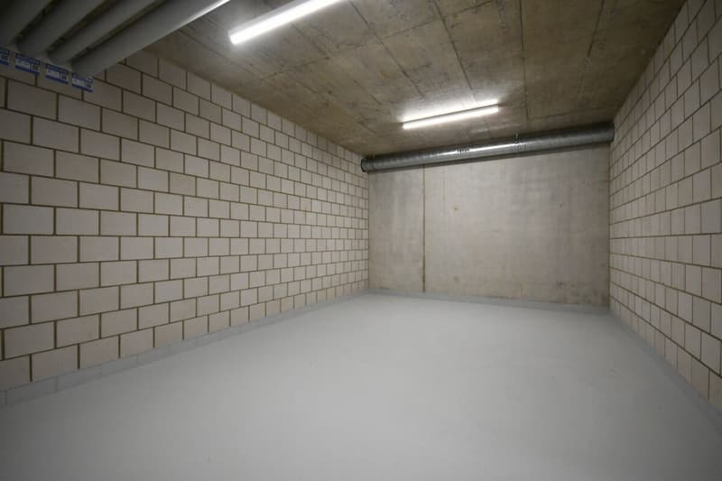 Pièces disponibles Lotzwil BE (2)
