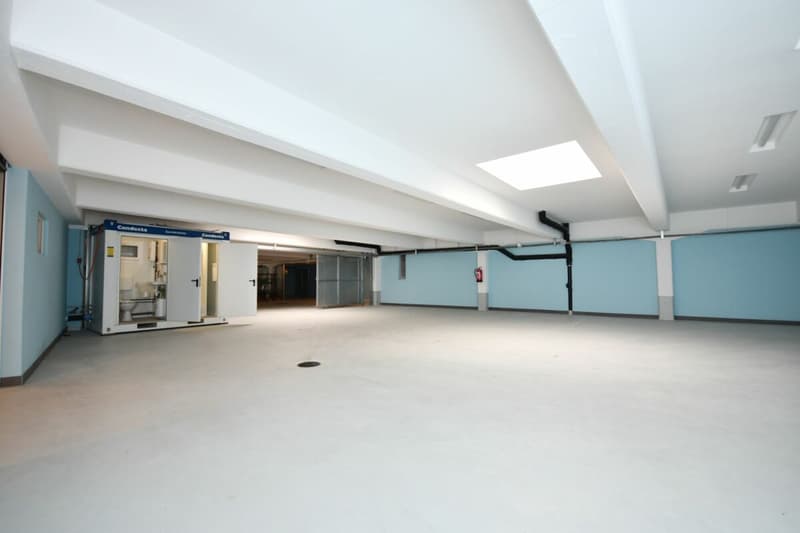 Car Garage/Workshop (8)