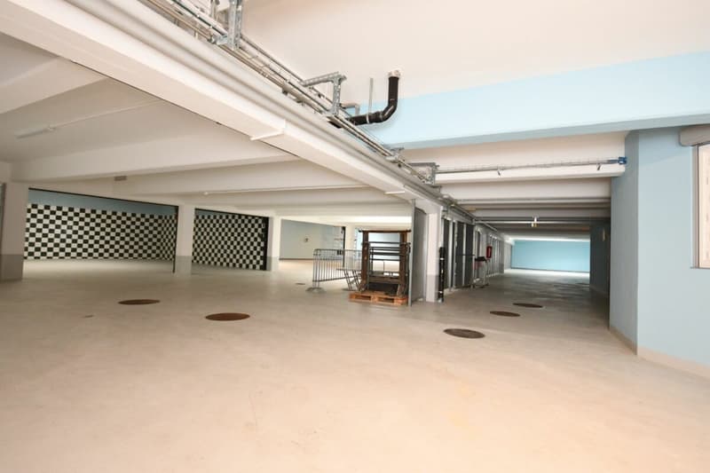 Car Garage/Workshop (3)