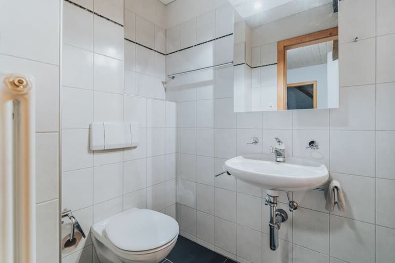 Hausteil / 7.5-Zimmer-Eigentumswohnung (23)