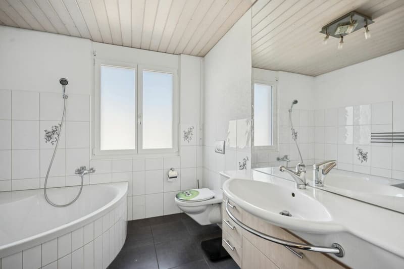 Einfamilienhaus (18)