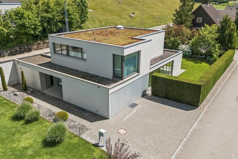Moderne Architektur mit hohem Ausbaustandard (2)