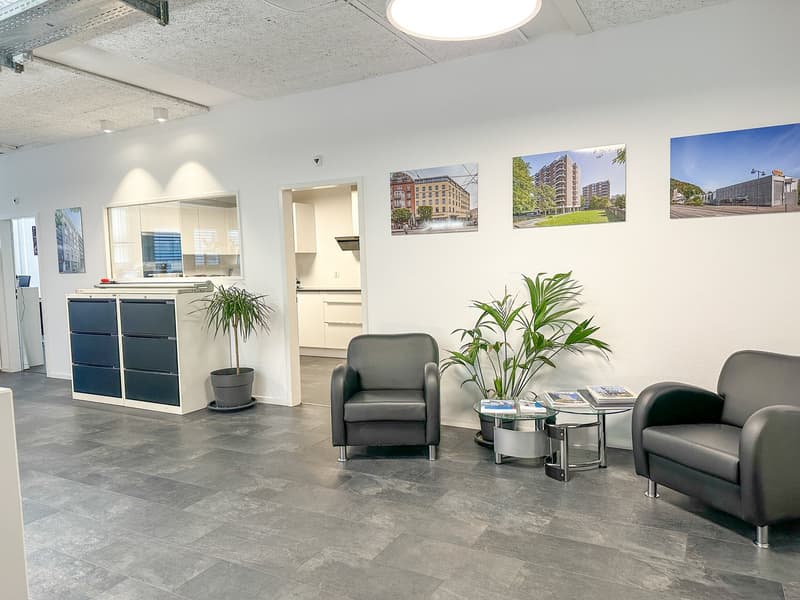Office: chairs, table, potted plants, wall pictures, cabinet
