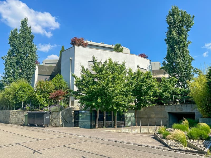 Modern white house, multiple windows, stone wall, trees, trash bin, metal railings, driveway