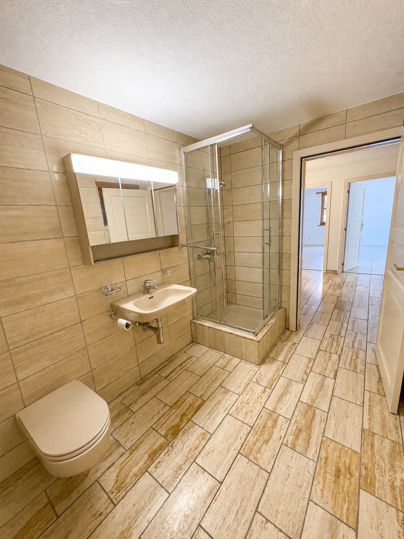 4-Zimmer-Wohnung mit Terrassensitzplatz und Cheminee (8)