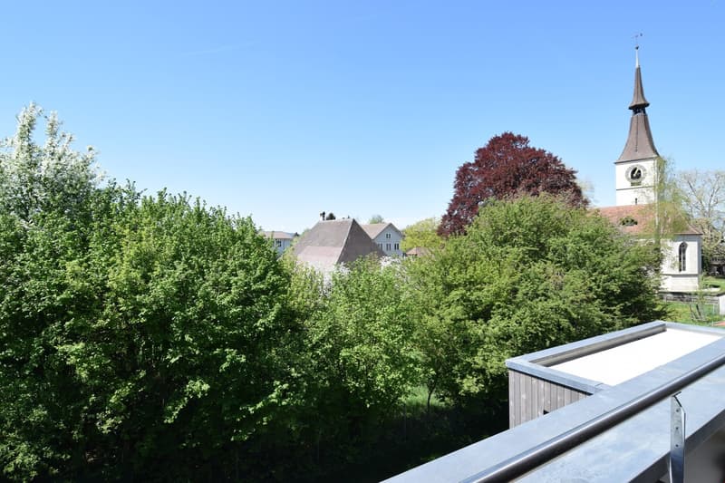 View of town from a balcony, trees, buildings, steeple