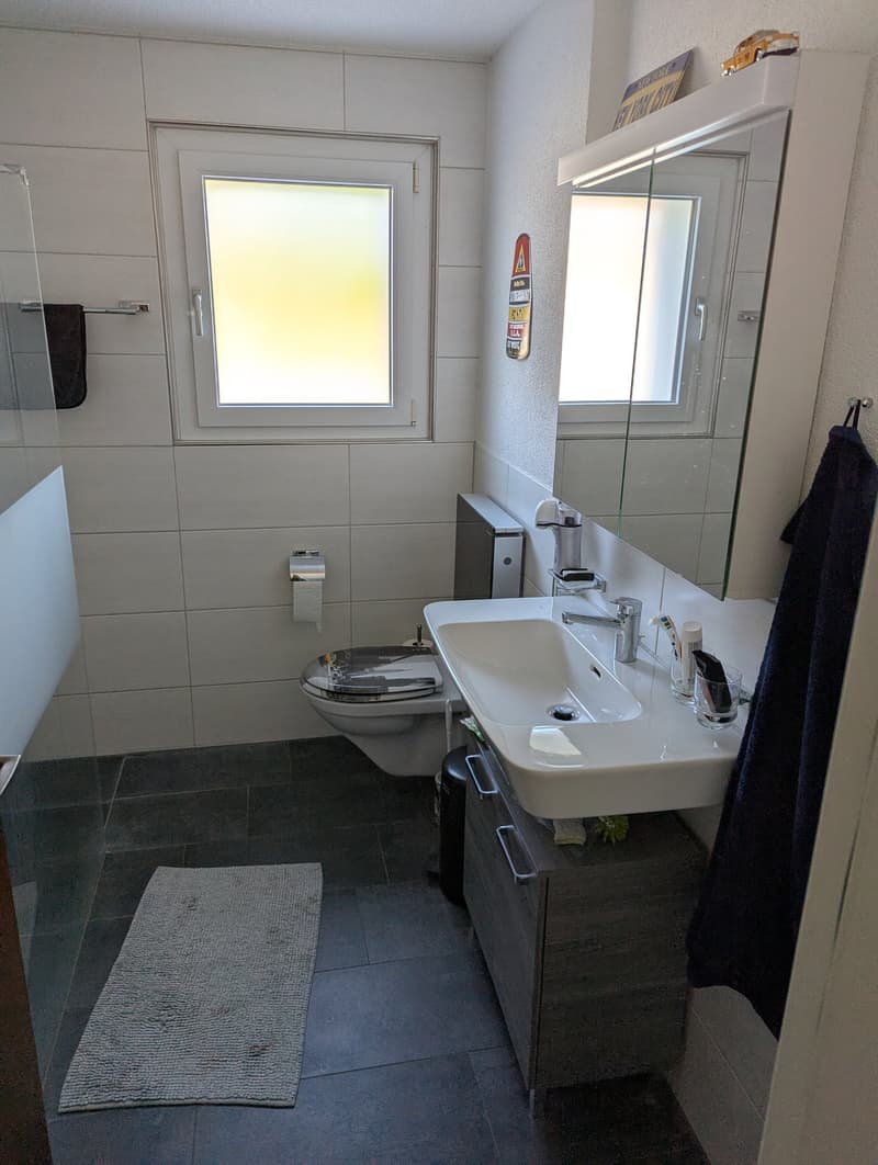 Schöne und grosszügige 4.5 Zimmer Wohnung mit Blick ins Grüne (2)