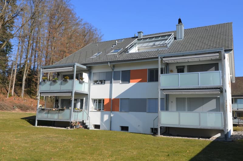 Schöne und grosszügige 4.5 Zimmer Wohnung mit Blick ins Grüne (8)