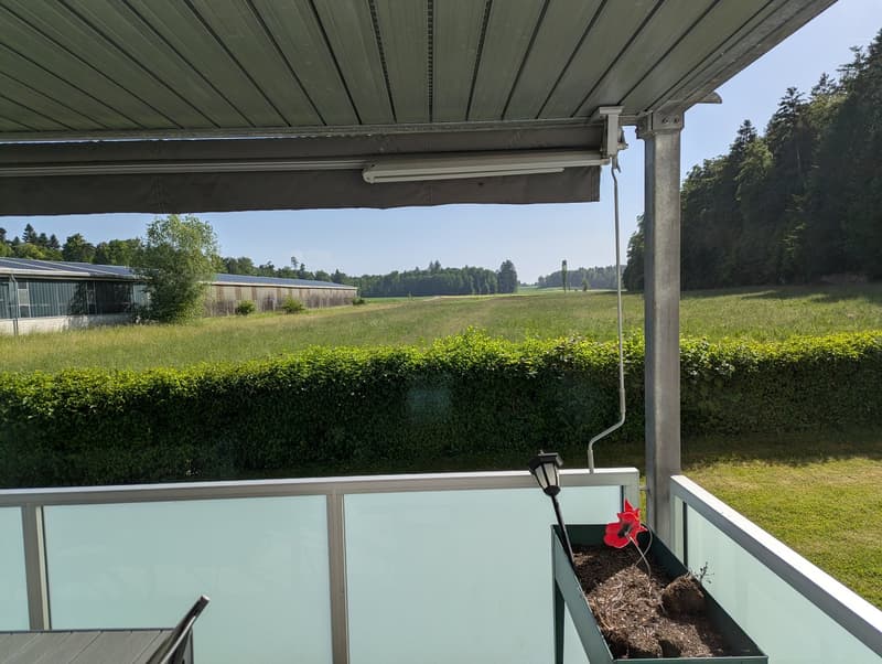Schöne und grosszügige 4.5 Zimmer Wohnung mit Blick ins Grüne (7)