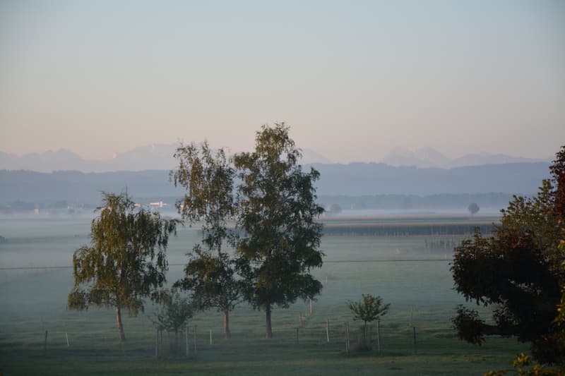 Exklusive Attikawohnung mit traumhaftem Bergpanorama (14)