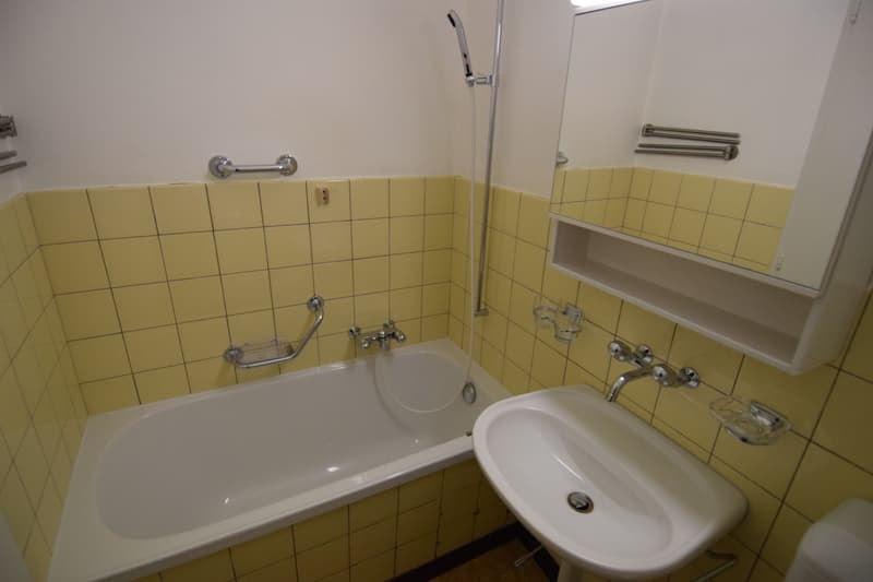 "Härzigi" 2-Zimmer-Wohnungen in Oberburg (6)