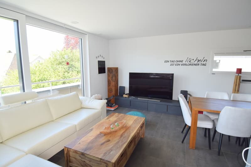 Schöne 3.5 Zimmer Attikawohnung im Oberdorfquartier (6)