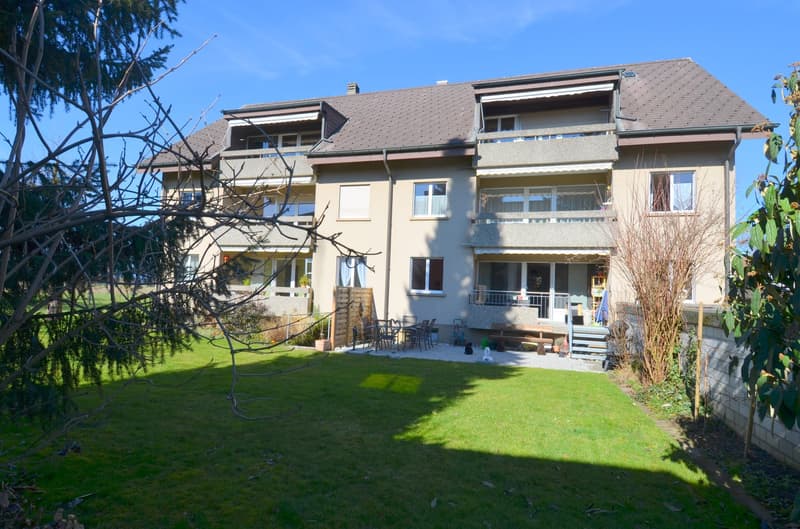 Frisch renovierte 3.5 Zimmer Wohnung an ruhiger und zentraler Lage in Ersigen zu vermieten (3)