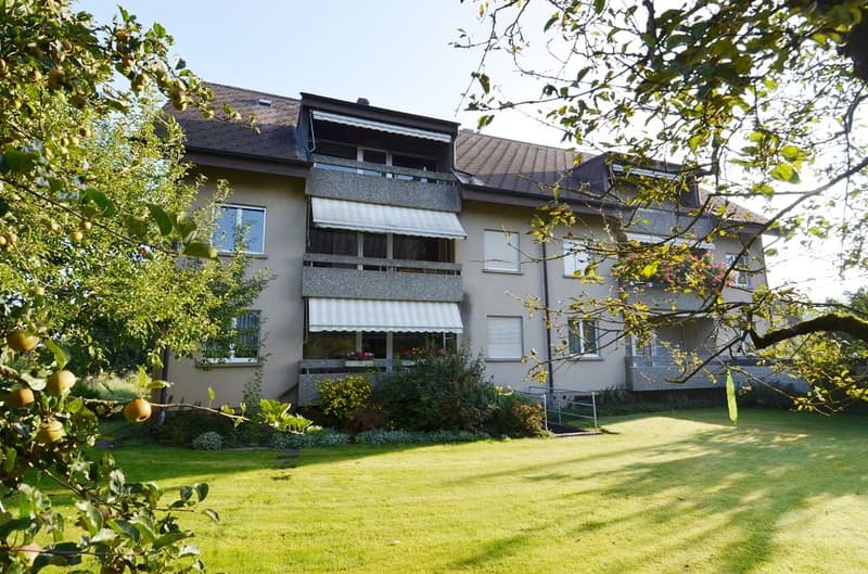 Frisch renovierte 3.5 Zimmer Wohnung an ruhiger und zentraler Lage in Ersigen zu vermieten (2)