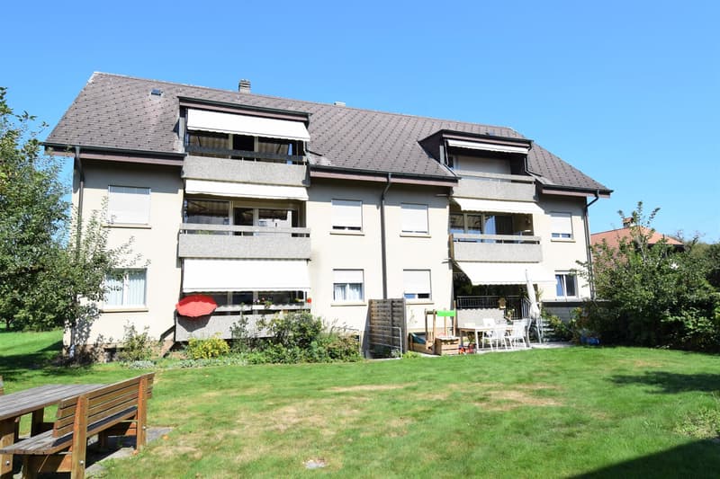 Frisch renovierte 3.5 Zimmer Wohnung an ruhiger und zentraler Lage in Ersigen zu vermieten (1)