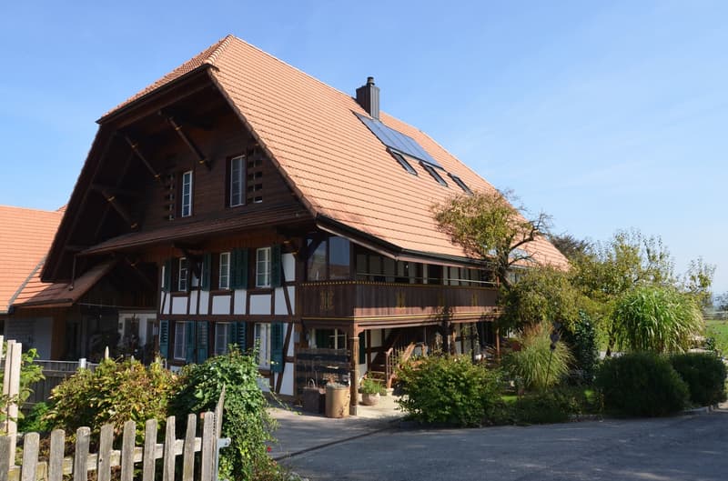Charmante 3.5-Zimmer-Wohnung im idyllischen Iffwil (1)