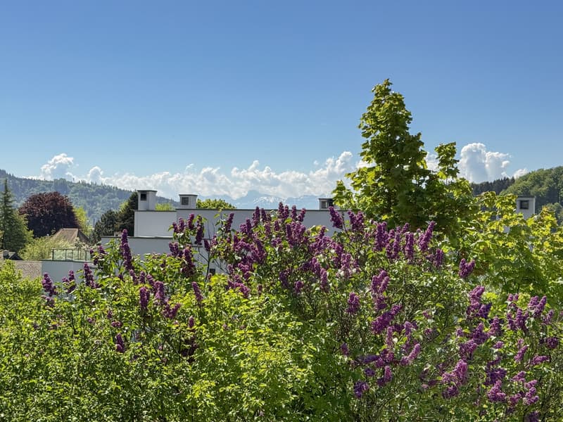 Terrasse mit Bergsicht