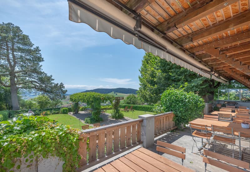 Haupthaus, Terrasse
