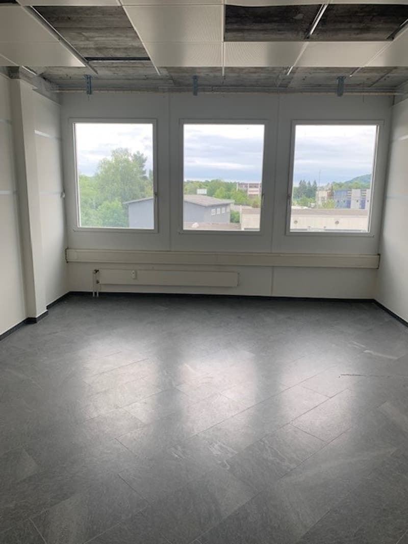 Idealer Standort für Labor/Showroom oder verarbeitendes Gewerbe 179 m2 (7)