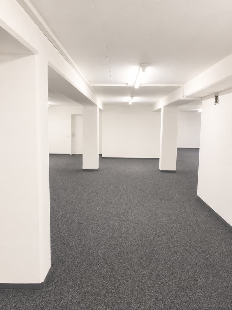 Gewerbefläche zur Miete an der Brandbachstrasse 10 in Dietlikon (4)