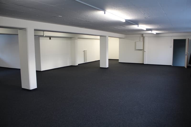 Espace de bureau / commercial dans un quartier commercial et industriel très fréquenté à Dietlikon (5)