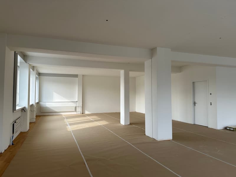Büro- / Gewerbefläche in hoch frequentiertem Einkaufs- und Industriegebiet in Dietlikon (6)
