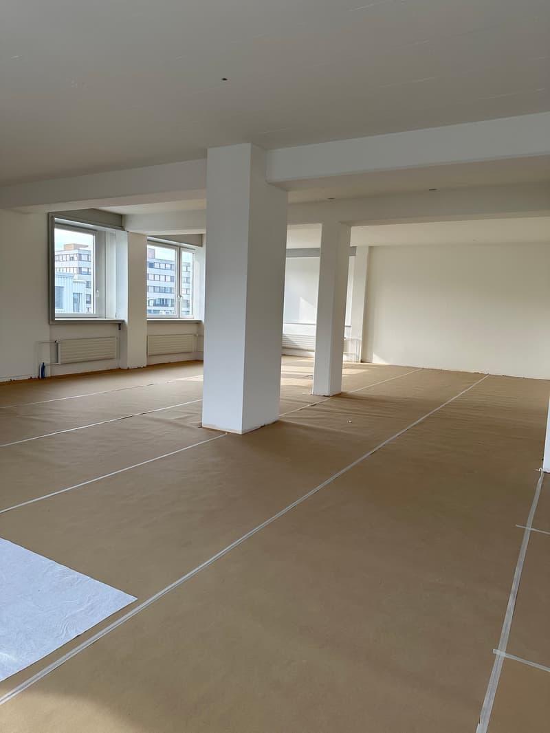 Büro- / Gewerbefläche in hoch frequentiertem Einkaufs- und Industriegebiet in Dietlikon (5)