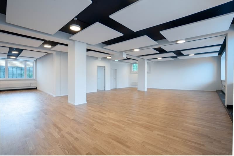 Office / commercial space in highly frequented shopping and industrial area in Dietlikon (7)