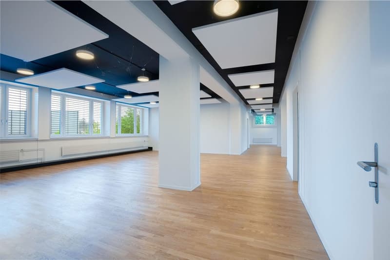 Office / commercial space in highly frequented shopping and industrial area in Dietlikon (6)