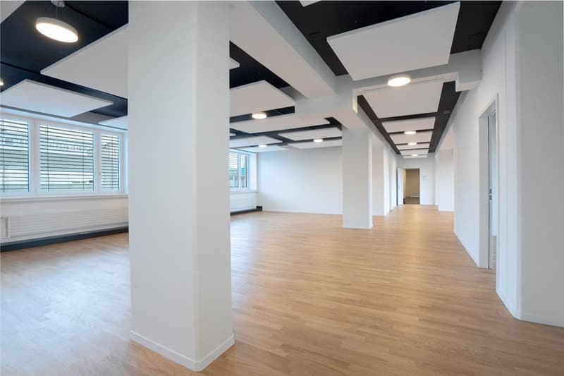 Office / commercial space in highly frequented shopping and industrial area in Dietlikon (5)