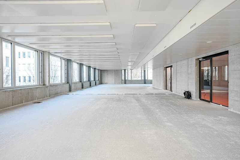 spacious, well-lit with large windows, grey concrete walls, white ceiling