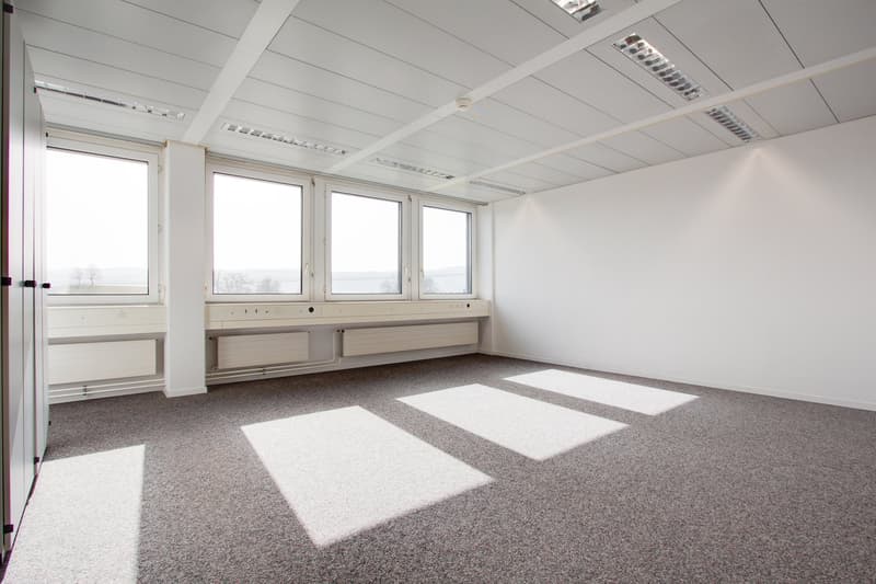 Helles Büro für Kleinunternehmer oder Start-ups - sofort verfügbar (2)